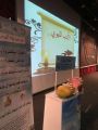 برنامج الأدب النبوي يستهدف ٢٠٠ تربوية بتعليم مكة.