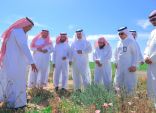 تعليم البكيرية ..يفعّل أسبوع البيئة بمحمية “البراك النباتية” بالشيحية