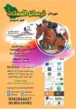 انطلاق مهرجان فرسان المملكة لقفز الحواجز بجدة