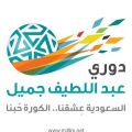 رائد التحدي يفوز على نجران